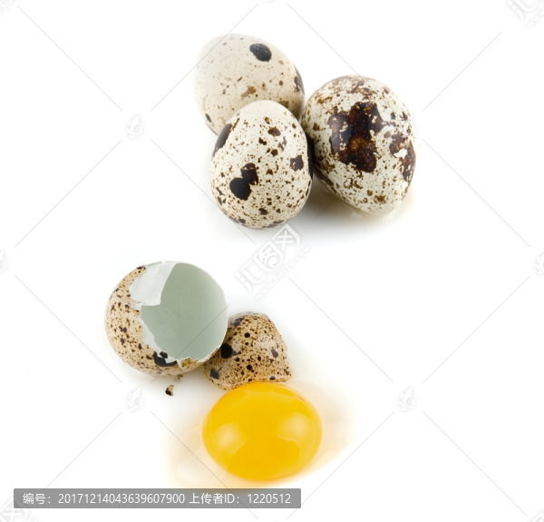 食物