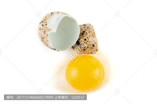 食物