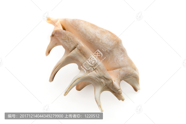 物體
