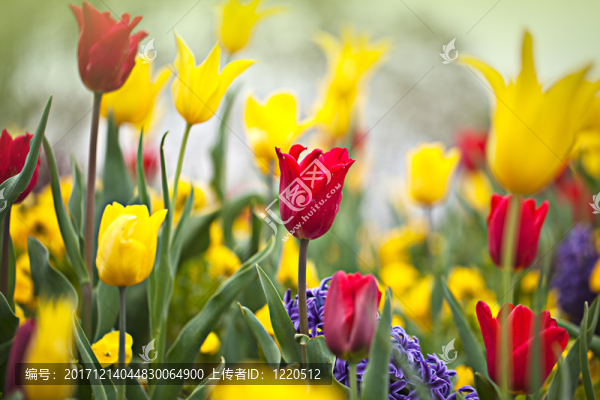 花