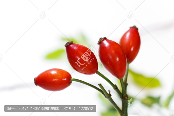 美國技術(shù)教育協(xié)會