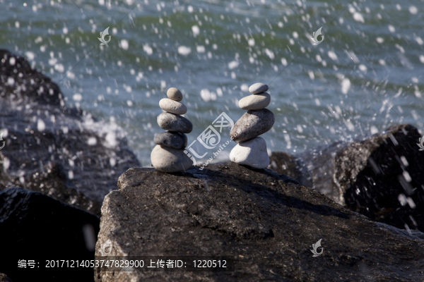海上的兩只若蟲