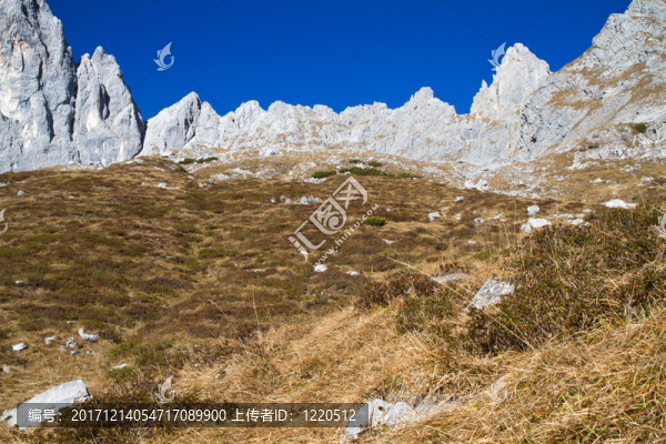 山