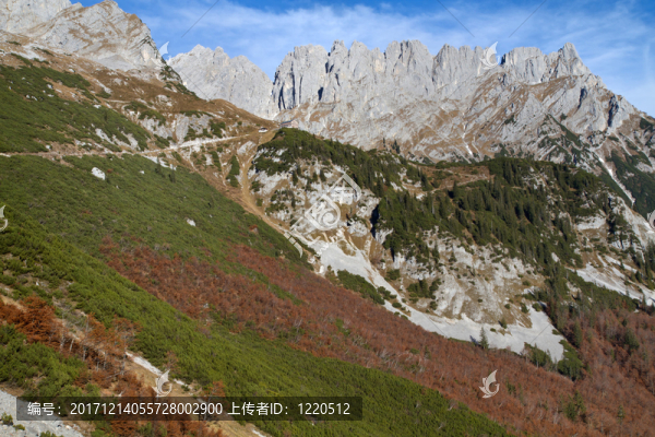 山