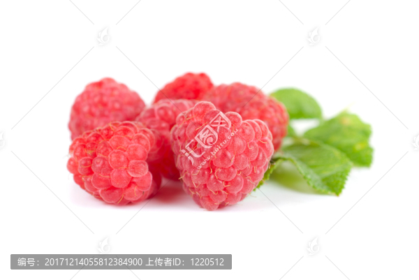 緊密的