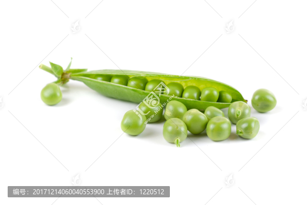 緊密的