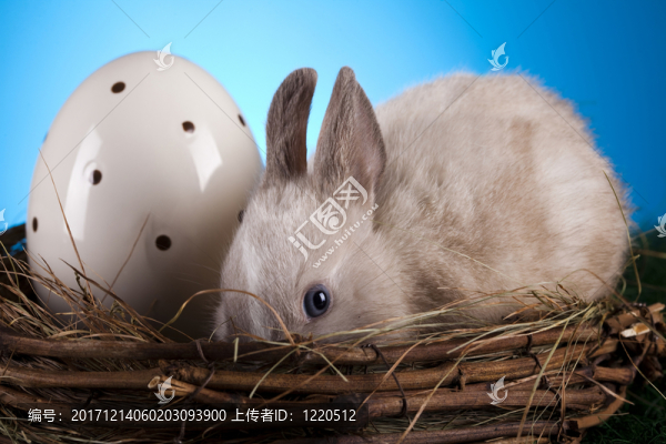 假日