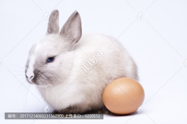 假日