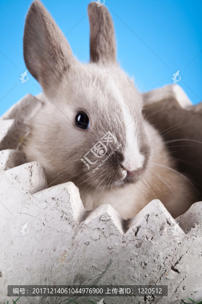 假日
