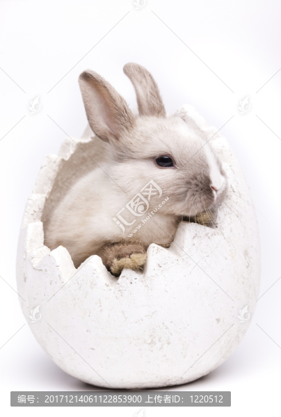 假日