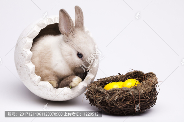 假日