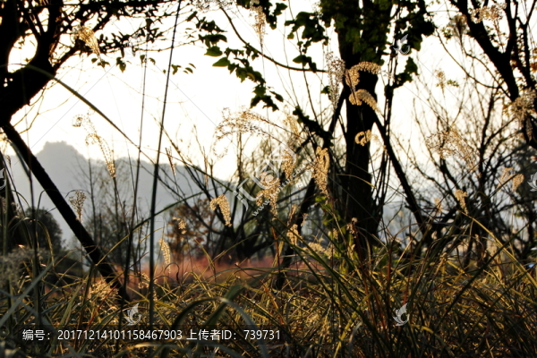 貴州婁山關