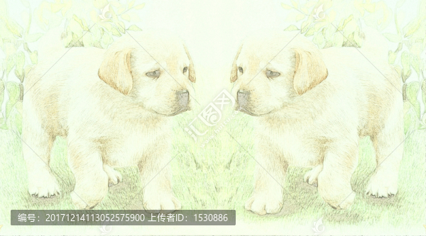 拉巴拉多犬,世界名狗