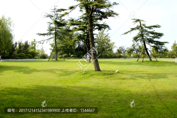 公園
