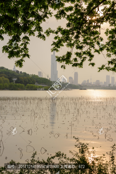 玄武湖湖景
