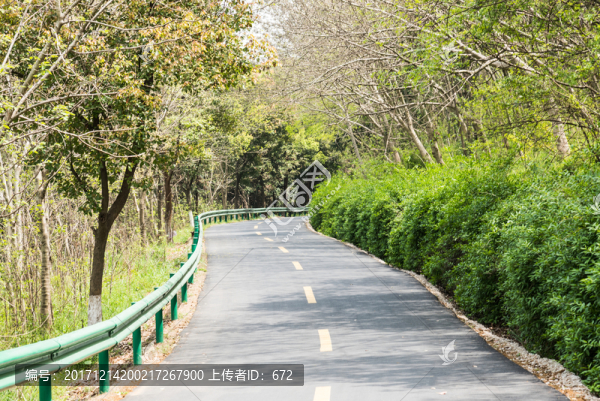 林間公路