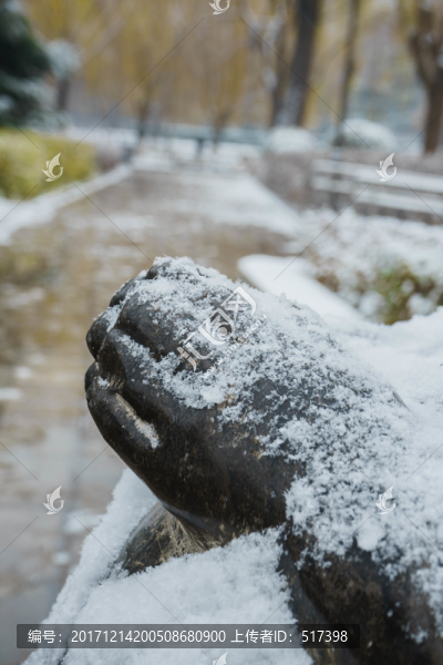 落雪佛手