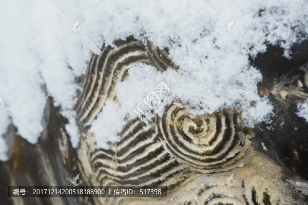 落雪神獸