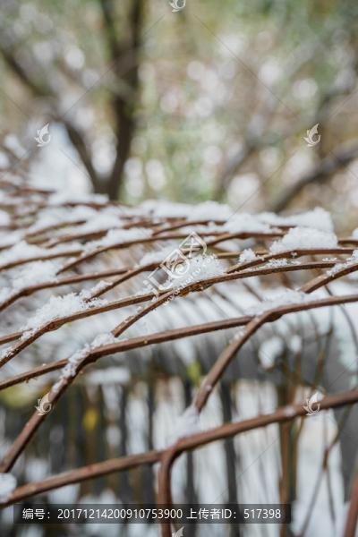 雪下欄桿