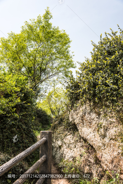 金牛山山道