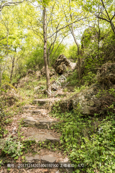 金牛山山道