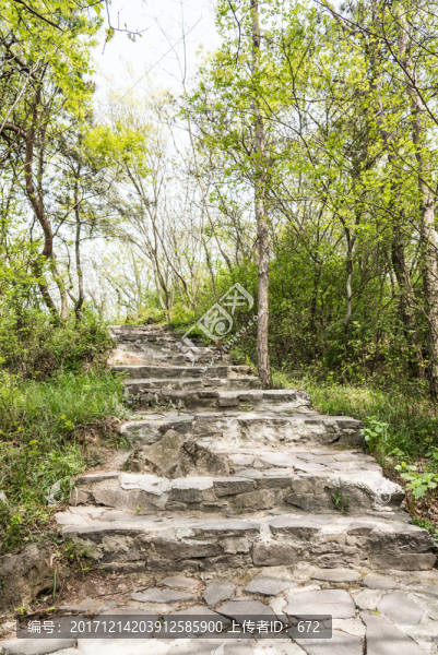 金牛山山道