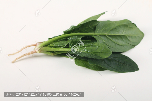 菠菜