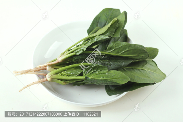 菠菜
