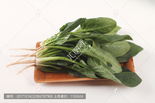 菠菜