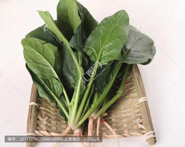 菠菜,蔬菜,綠色,健康,素食