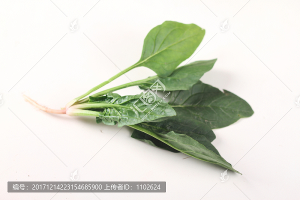 菠菜,蔬菜,綠色,健康,素食