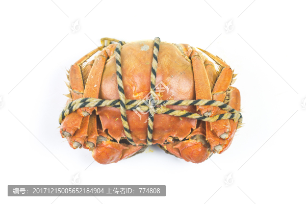 陽澄湖大閘蟹