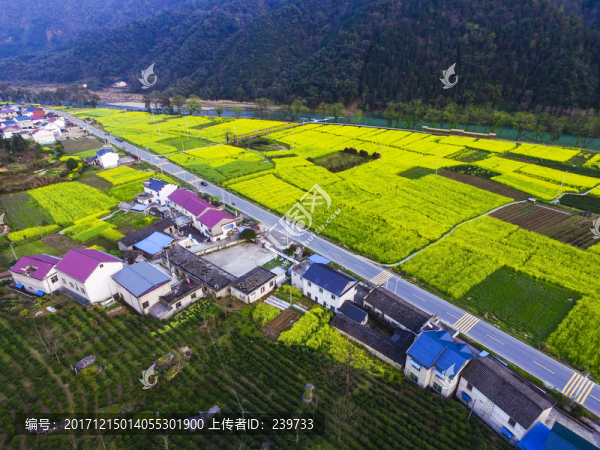 剡溪田園風(fēng)光
