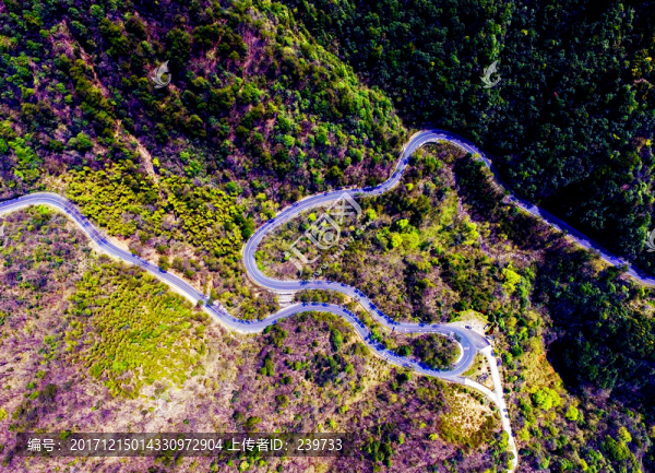 山區(qū)公路