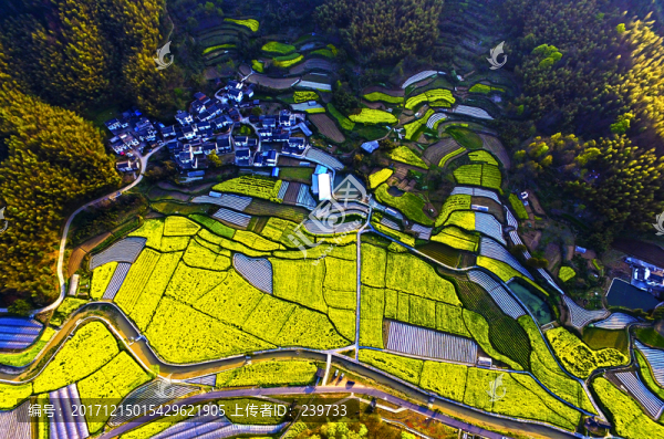 田園風(fēng)光