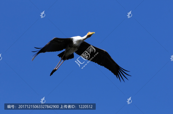 木頭支架