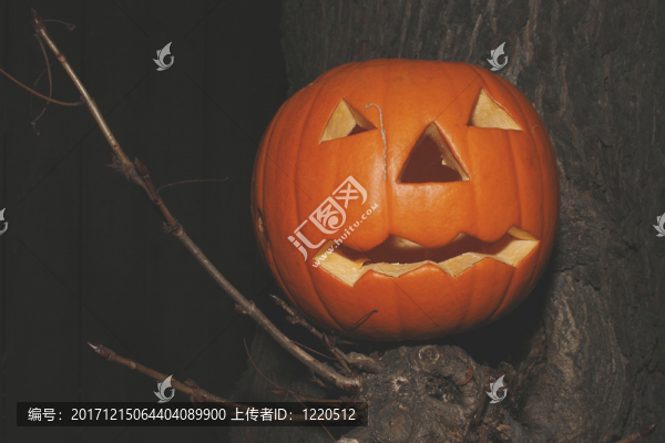 蔬菜