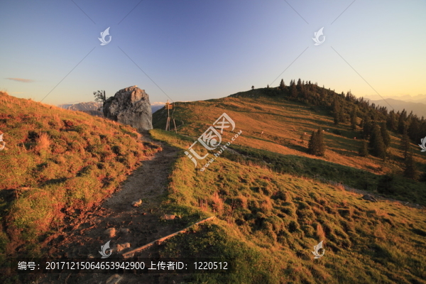 在山中的路徑