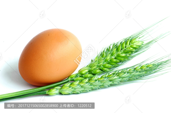 食物