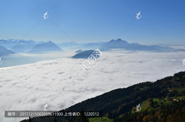 山