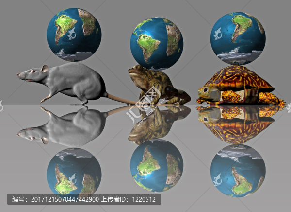 世界救援