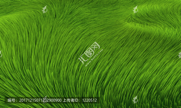 風(fēng)在草地,-,背景