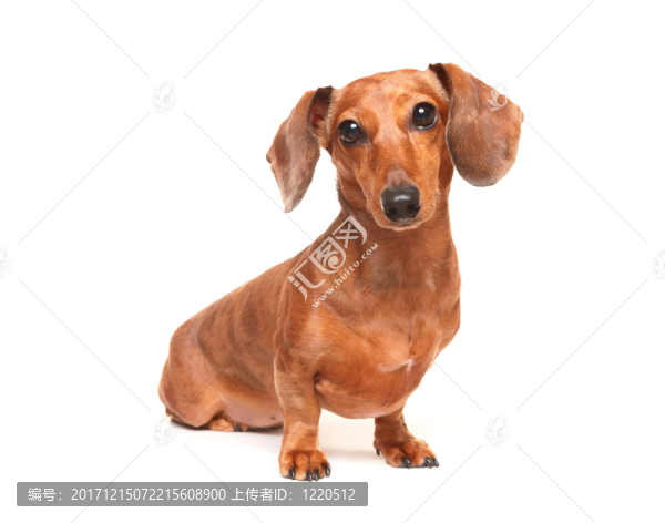 隔離的