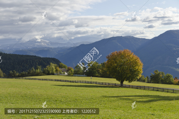在oberbozen山
