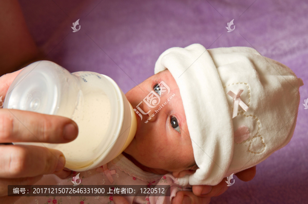 美麗的