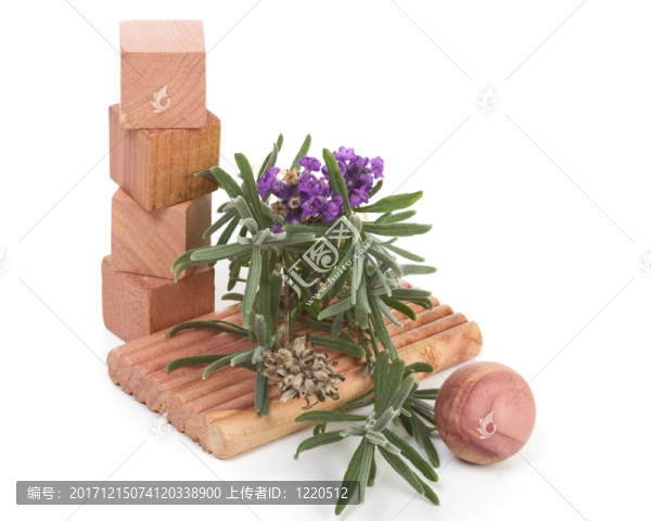 靜物