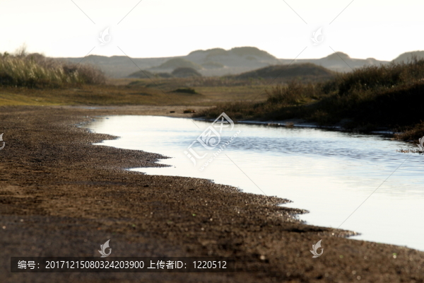 沼澤