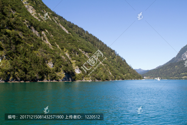 樹(shù)
