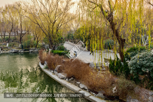 大明湖
