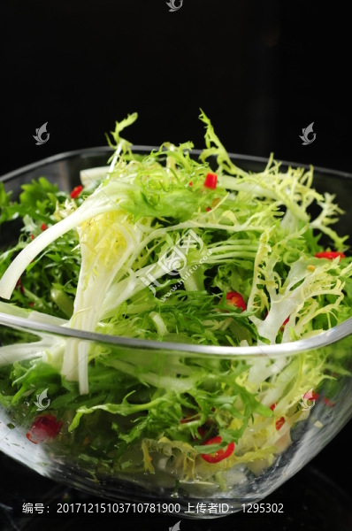 苦菊
